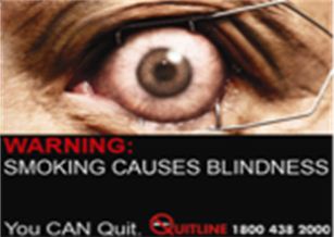 Singapore 2013 Health Effects eye - blindness, gross